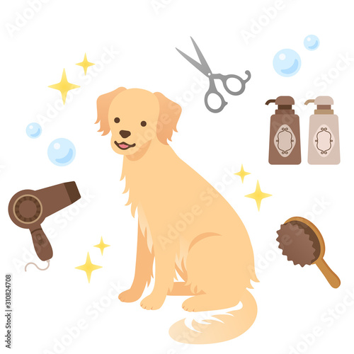 ドッグサロン 犬のトリミングのイメージイラストセット Stock Vector Adobe Stock