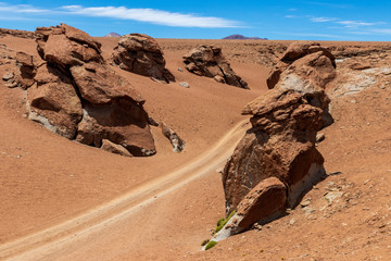 Wall Mural - Track on the altiplano in Bolivia.