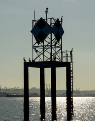  Duwamish Head Navigation Marker in Elliott Bay Seattle with resting cormorants 