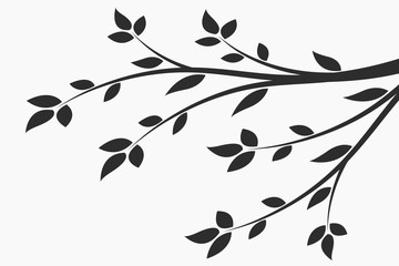 Wall Mural - young flowering tree. sapling. silhouette of a branch with leaves.