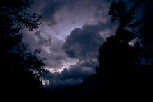 Dark Clouds In Trees