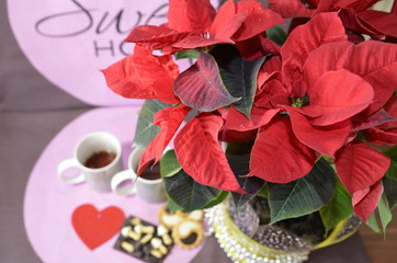 Wall Mural - Holidays. Sweet home is written on a pink background. On the table is a Christmas star flower, two cups of tea, sweets, a felt felt heart.