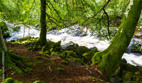 Walking in Blair Atholl, Scotland Tableau sur Toile