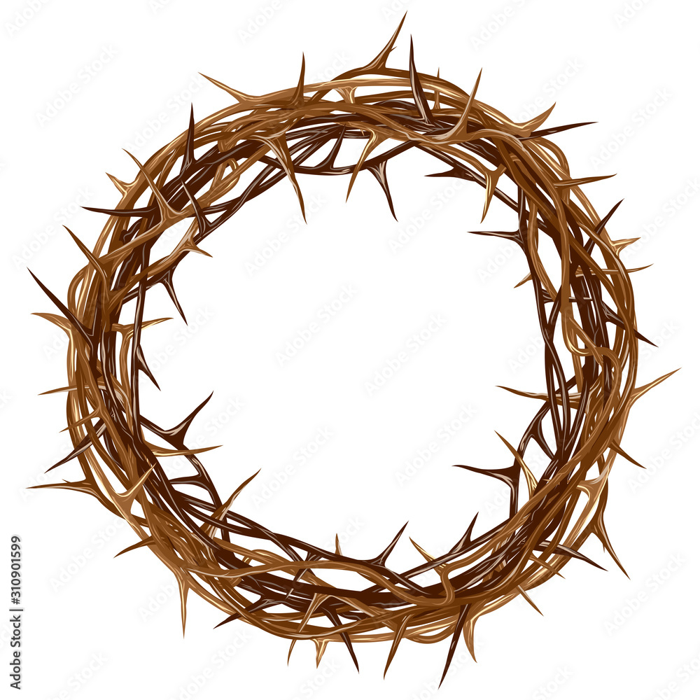 Crown of thorns. Color, artistic, graphic drawing of a crown of thorns with  thorns on a white background. Stock Vector | Adobe Stock, image size:1000x1000