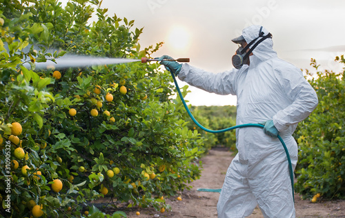 Fotografía Weed insecticide fumigation