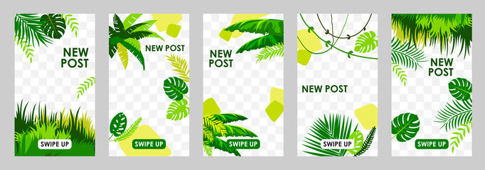 Wall Mural - Set of templates for instagram stories with tropical natural decor. Vector banners. Jungle, leaves, plants.