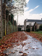 Path of fallen leaves in autumn