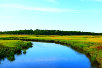 New Jersey wetlands