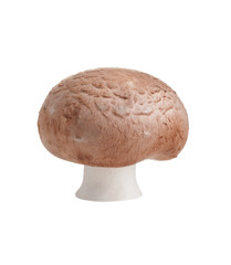 Wall Mural - fresh single champignon isolated on a white background