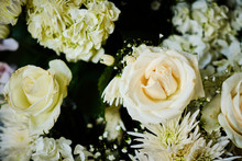 Background Of White Rose In Cluster And Hydrangea Flowers Isolated On White.
