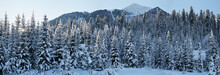 Mountain Landscape. Scenic Panoramic View. Winter Forest, Snowy Trees. Wild Place In Siberia.