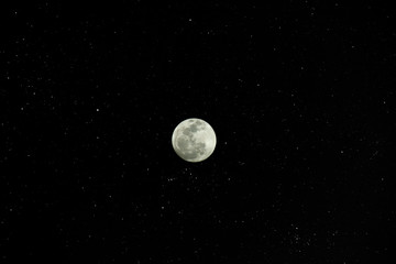 Canvas Print - Full moon in the stars background.