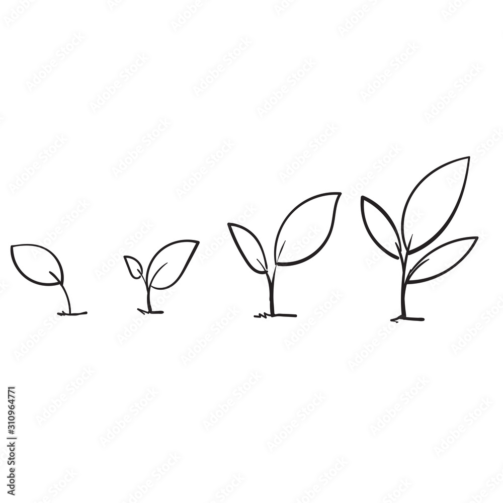 Line art growing sprout plant with hand drawn doodle style - obrazy, fototapety, plakaty 