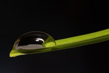 Water drop macro on a leaf with a black background