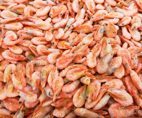 Sticker - Red shrimp in the market as a background