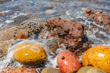 stones in the water