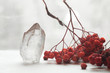 Snow white large crystal of pure transparent quartz. Chalcedony gem on background of bunch rowan berries, mountain ash