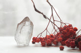 Fototapeta Na sufit - Snow white large crystal of pure transparent quartz. Chalcedony gem on background of bunch rowan berries, mountain ash