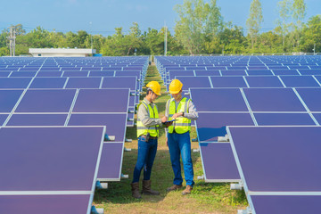 Portrait of engineer man or worker, people, with solar panels or solar cells on the roof in farm. Power plant with green field, renewable energy source in Thailand. Eco technology for electric power.