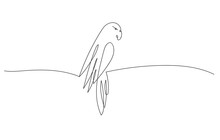 One Line Design Of Parrot.