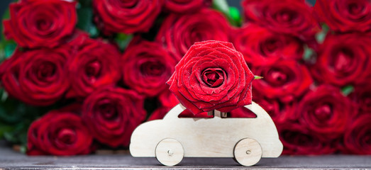 Wall Mural - Concept of flower delivery, love, typewriter transports a flower against a background of red roses.