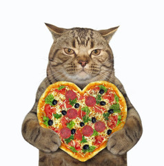 Wall Mural - The beige cat is holding a heart shaped pizza. White background. Isolated.