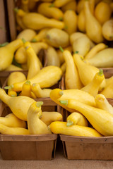 yellow squash display, farmers market