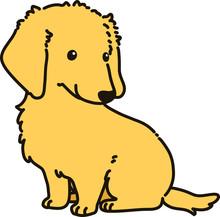 Outlined Golden Miniature Dachshund Sitting