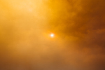 Canvas Print - Thick wildfire smoke and amber blocking the sun