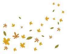 Fallen Leaves And Bowing  Wind Vector Illustration Design