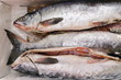 日本の市場で売られていた塩鮭