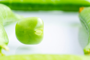 Wall Mural - Concept of organic food ingredient - green pea in frame of pea pods