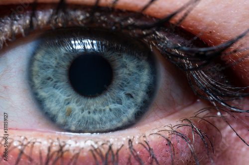 Fotografía female blue eye and colored eyelashes shot in macro