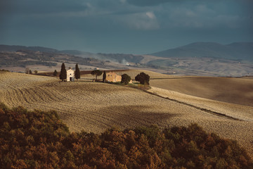 Wall Mural - Wavy fields in Tuscany