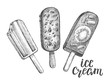 Ink hand drawn set of different types of ice cream. Popsicle on a stick. Food elements collection for menu or signboard design with brush calligraphy style lettering. Vector illustration.