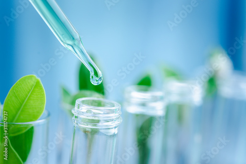 Fotomural Dropper over test tube dropping sample chemical into sample herbal plaint , biotechnoloy research concept