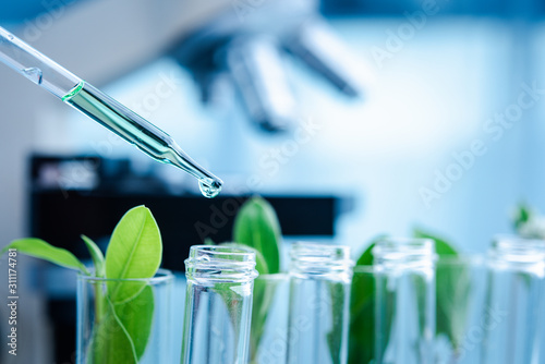 Fotomural Dropper over test tube dropping sample chemical into sample herbal plaint , biotechnoloy research concept