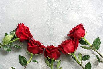 fresh red roses frame on a gray concrete background. top view, flat lay.