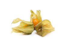 Healthy Cape Gooseberry (Physalis) Isolated On White Background