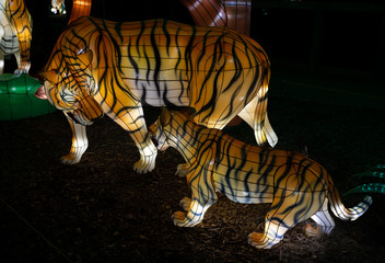 Wall Mural - big colorful animal lantern at night