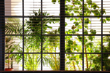 Wall Mural - beautiful view through window on garden in morning