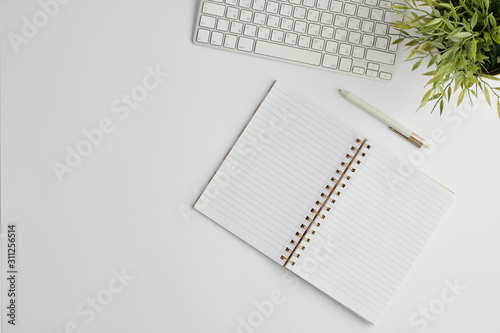 Fotomural Flat layout with pen, computer keypad, open notebook with blank pages and plant
