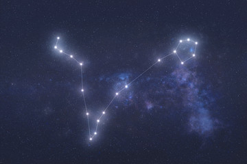 Wall Mural - pisces constellation stars in outer space. zodiac sign pisces constellation lines. elements of this 