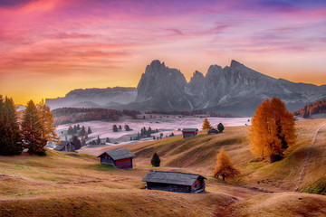 Wall Mural - alpe di siusi valley in italian dolomites