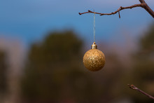 Christmas Ornament Hangs On Tree Outside 