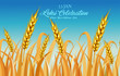 Happy Lohri illustration for Punjabi harvest festival holiday background - Vector