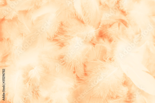 Fotomural Beautiful abstract colorful yellow brown and white feathers on white background