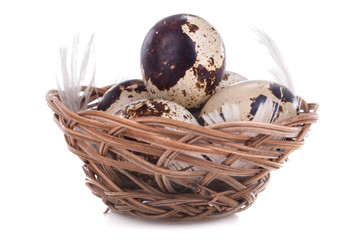 quail eggs in bowl isolated on white background