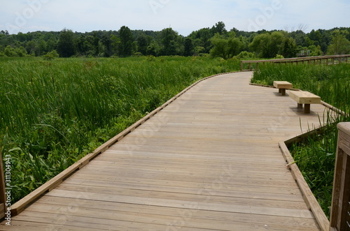 Fotomural wooden boardwalk with benches and green plants in wetland area