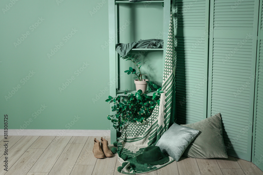 Interior of modern room with shelf unit and houseplant